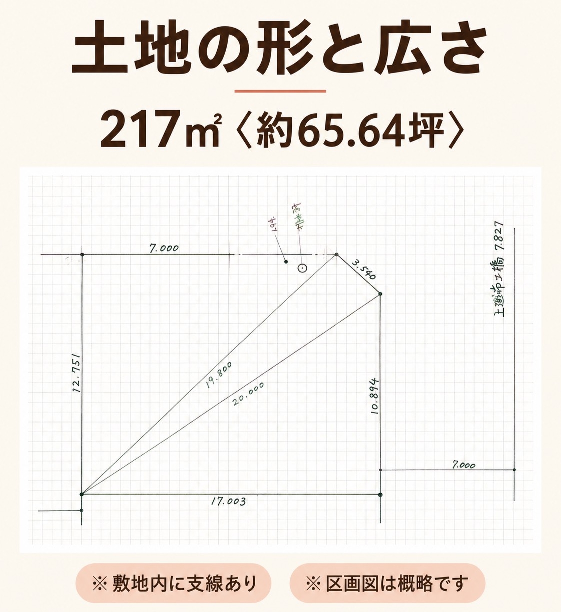 S__92332037.jpg