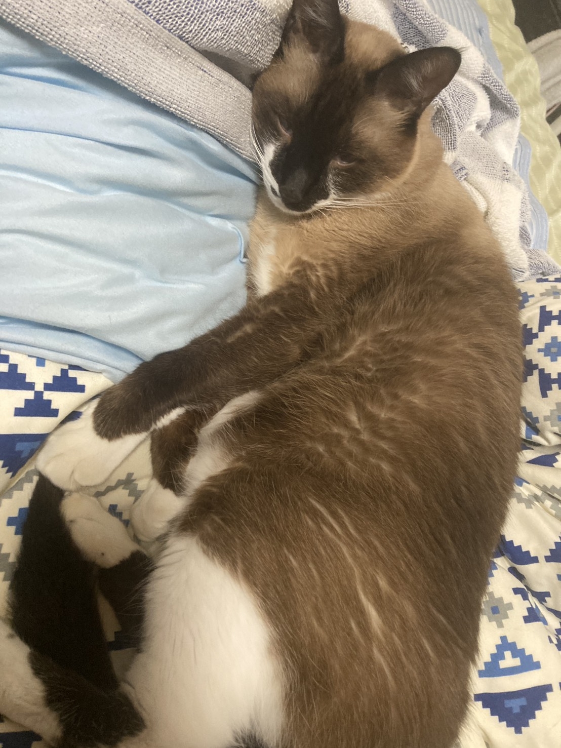 S__91291663.jpg